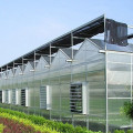 Transparent Agricultural Polycarbonate Sheet Board PC Sheet